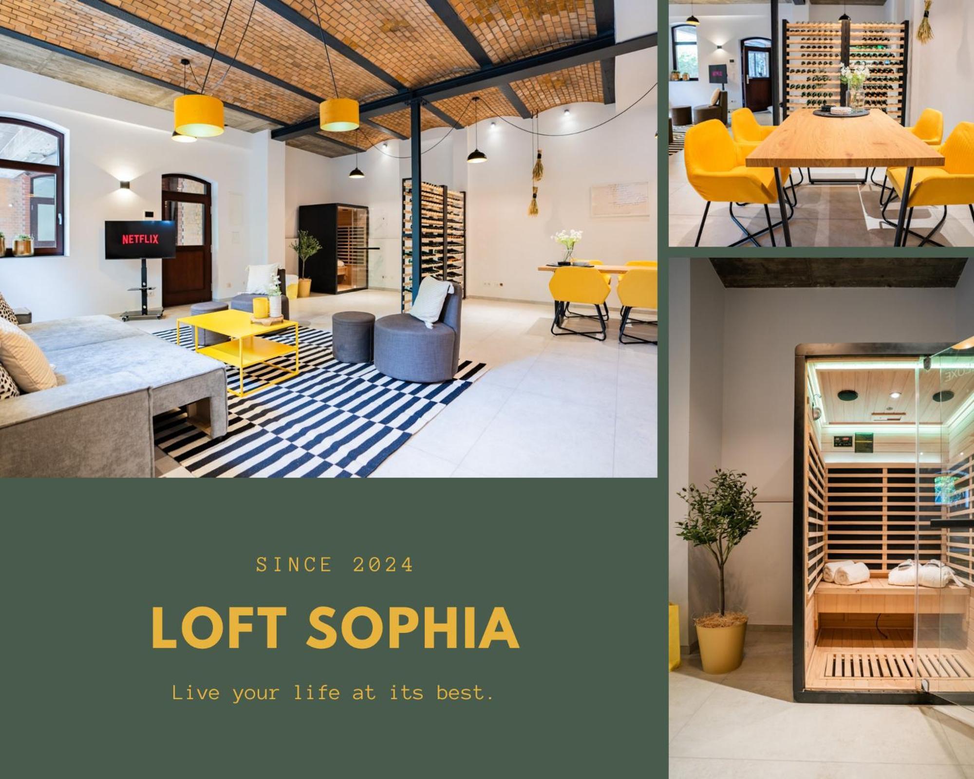 Luxurioeses 100m2 Loft Mit Sauna & Parkplatz - Platz Fuer 4 Personen Apartment Wiesbaden